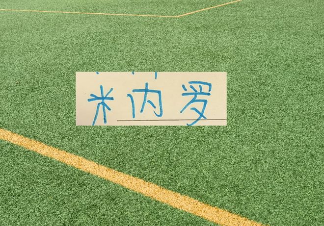足协杯被红牌！申花前锋米内罗还有机会在亚冠赛场 剩余5场联赛证明自己吗